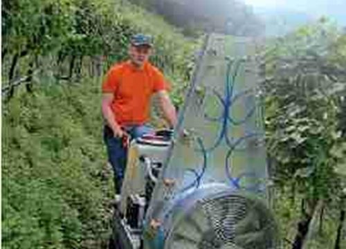 Pflanzenschutz- und Mulcharbeiten im Weinbau